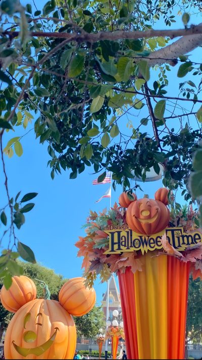 the entrance to halloween time at disneyland world Disneyland Halloween Aesthetic Disneyland Fall Aesthetic, Disneyland Halloween, Disneyland Fall, dim gray