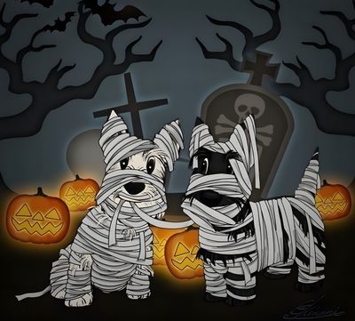 two dogs dressed up in halloween costumes standing next to each other with pumpkins behind them Halloween Scottish Terrier Scottish Terrier Skeleton, Scottish Terrier Pumpkin, Halloween Boston Terrier, dark slate gray