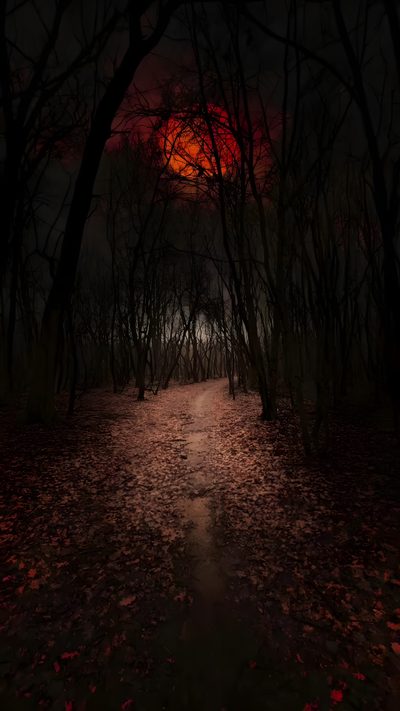 a path in the woods at night with red light coming from behind trees and leaves on the ground Halloween Road Dark Forest Mountain, Forest Night Moon, Scenery Video Aesthetic, black