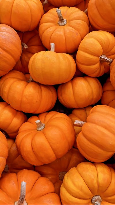 a pile of orange pumpkins sitting next to each other Halloween Orange Pumpkin Pumpkin Iphone, Pumpkin Texture, Pumpkin With Orange Background, chocolate