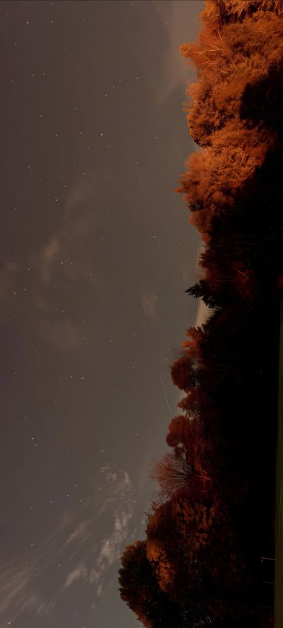 the sky is very dark and there are stars in the sky above trees that have red leaves on them Halloween Sky Iphone Autumn Mac, Autumn Aesthetic Laptop, Mac Autumn, dark slate gray