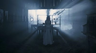 a woman standing in front of a window on a foggy night with the light coming through Halloween 2 2009 The Witch Cinematography, Ghost 1990 Gif, Horror Lighting Cinematography, dark slate gray