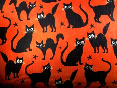 an orange background with black cats and stars Halloween Black Cat Pillow Halloween Fabric Cat Bones Witch And, Halloween Cats Laptop, Halloween Black Cat Orange Background, firebrick