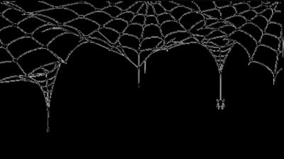 an image of a spider web on a black background Halloween Web Black Diy Halloween Party Decorations, Black And White Spider Web, Halloween Spider Web Decor,