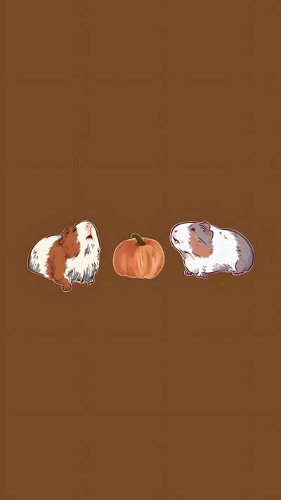 three guinea pigs sitting next to each other in front of a brown background with an orange pumpkin Halloween Guinea Pig Guinea Pig With Crown, Guinea Pigs, Guinea Pig Aesthetic, Guinea Pig Hd, saddle brown
