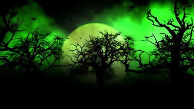 the full moon is seen through some trees in front of a green sky with bats Green Halloween Desktop Background Halloween, Gaming Background, Halloween Youtube Background, black