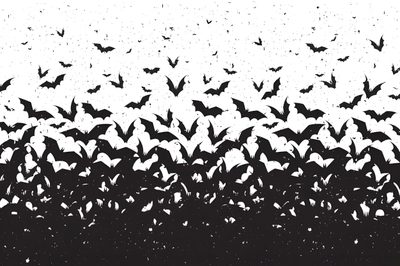 a flock of bats flying in the sky Halloween Cute Bats Silhouette Free Halloween Costumes, Halloween Pin Up, Halloween Borders, gainsboro