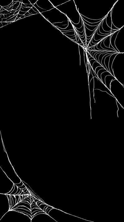 a black and white photo of spider webs on a tree branch in the night Halloween Spider Webs Halloween, Spooky Background, Spiderman Web, Halloween Iphone Backgrounds, black