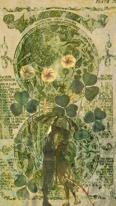 a painting on paper with flowers and leaves in the center, surrounded by other art work Aesthetic Sage Green Halloween Aesthetic Iphone Green, Irish Imagery, Celtic Aesthetic, gray