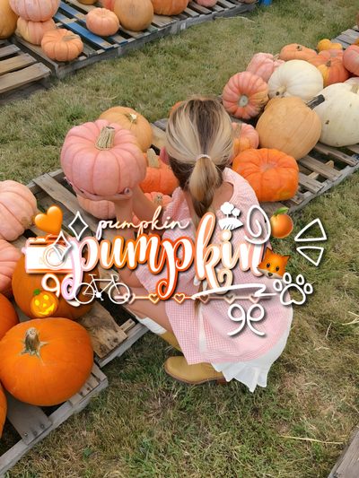 🎃🧡🦊 Cute Halloween, Halloween Pumpkins, Halloween Pumpkin Preppy Halloween Cute Halloween, Halloween Pumpkins, Halloween, gray