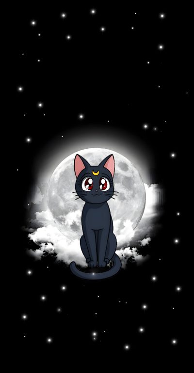 a black cat sitting in front of a full moon Sailor Moon Halloween Sailor Moon Stars, Illustration Japonaise, Sailor Moon Aesthetic, black