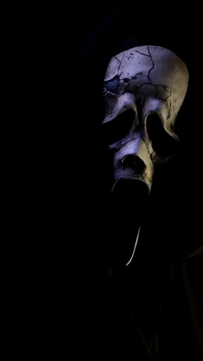 a person wearing a creepy mask in the dark Halloween Mask Horror Live, Ghostface Iphone, Scream Live, Ghostface Live, Moving, Halloween Flyer, black