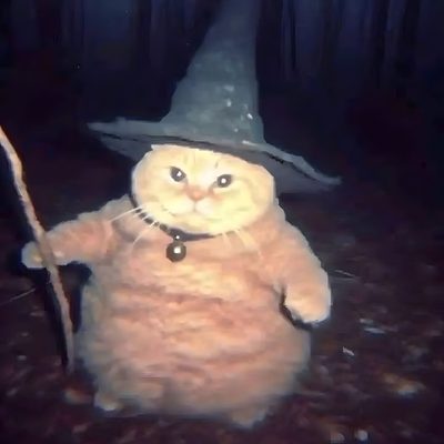 a cat wearing a witches hat and holding a stick Halloween Funny Witch Pfp, Wizard Dog Meme, Christmas Pfps Cats, Wizzard Cat, Evil Wizard Cat, dark slate gray