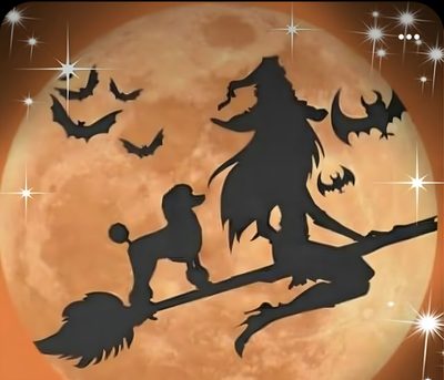 a full moon is in the background with silhouettes of witches and bats on it Halloween Poodle Toy Poodle Halloween Costumes, Poodle In Autumn Leaves, Poodle Skeleton, peru
