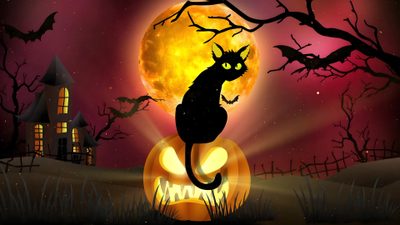 a black cat sitting on top of a pumpkin in front of a full moon with bats Halloween Laptop Gif Halloween Screensavers For Pc, Halloween Night Desktop, Scary Halloween For Desktop, maroon