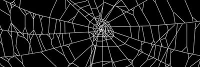 an abstract black and white image of spider web Halloween Web Black Spider Web Overlay Png, Spider Web Banner Discord, Spider Web Overlay,