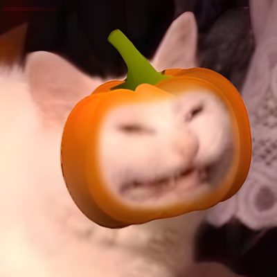 a cat with an orange on it's head Halloween Meme Derpy Pumpkin Meme, White Pumpkin Meme, Halloween Joe Cat Meme, Funny Cat Halloween, indian red
