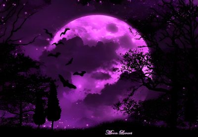 a full moon with bats flying in the night sky over trees and grass, against a purple background Halloween Bat Moon Purple Large Purple Moon Halloween Art, Purple Moon With Bats, Moon Purple Anime Night Sky, black