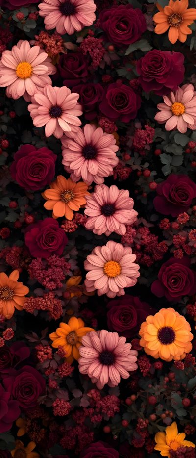 many different colored flowers are arranged together Halloween Flowers Burgundy Iphone, Pink Flower Tattoos, Bright Flowers, My Favorite Image, black