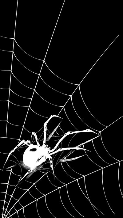 Grafite De Rua, Gothic Wallpaper, Dark Wallpaper Iphone, Superhero Wallpaper, Flower Background Wallpaper, Graphic Tshirt Design, Dark Art Illustrations, Cool Anime Pictures, Draw On Photos Spider Halloween Grafite De Rua, Gothic, Dark Iphone, Superhero, Flower Background, black