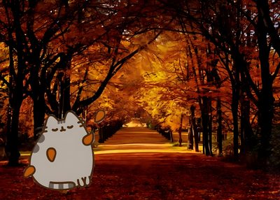 an image of a cartoon character in the middle of trees with fall leaves on them Desktop Pusheen Halloween Pusheen, maroon