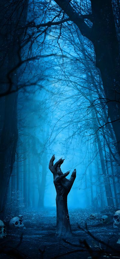 a creepy tree in the middle of a forest with blue light coming from behind it Horror Background With Scary Monster Halloween Spooky Zombie, Spooky Background, Image Halloween, teal