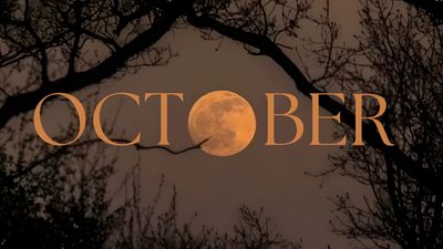 the words october are lit up in front of trees Halloween October Desktop November Widget, Gilmore Girl, Fall Mood Board, Fall Inspo, dark slate gray