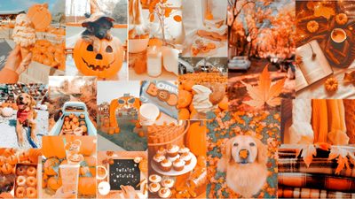 a collage of pictures with pumpkins and dogs Preppy Happy Halloween Autumn Party Inspiration, Autumn Pumpkin-themed Collage, Cozy Autumn Aesthetic, peru
