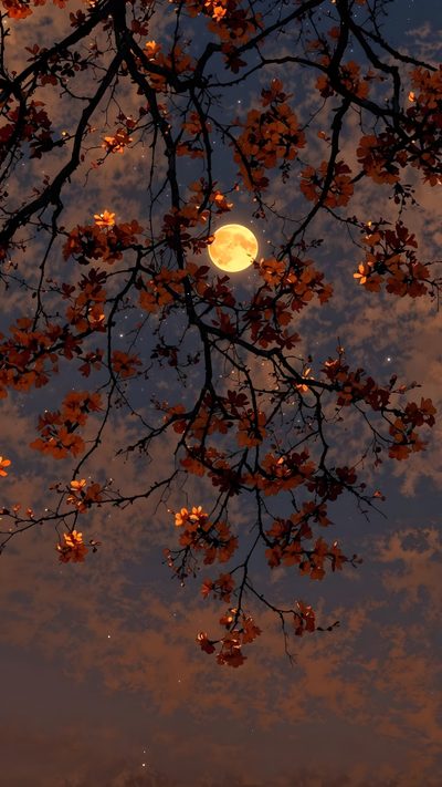 Fall Moon Wallpaper, Autumn Trees With Moon, Japanese Autumn Wallpaper, Autumn Moon Aesthetic, Fall Moon Aesthetic, Autumn Tree With Moon Wallpaper, Red Moon Forest Wallpaper, Autumn Moon Wallpaper, Red Moon Through Tree Branches High Res Halloween Fall Moon, Autumn Trees With Moon, Japanese Autumn, Autumn Moon Aesthetic, dark slate gray