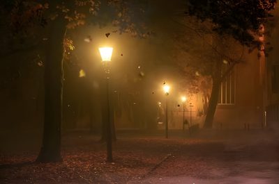 a foggy night in the park with street lights Aesthetic Halloween Gif Aesthetic Fall Gif, Background For Video Editing Landscape, Night Fall, saddle brown