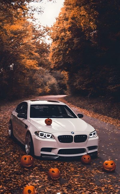 a white car parked on the side of a road surrounded by pumpkins Bmw Halloween Orange Bmw Car In Snow, Bmw Fall, Bmw Fall Background, Bmw Autumn, dark olive green