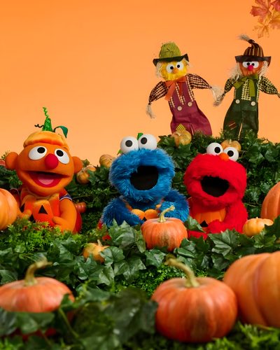 the sesame street characters are surrounded by pumpkins and kale leaves in front of an orange background Sesame Street Halloween Vintage Halloween Images, Halloween Images, Puppets, Halloween, sienna