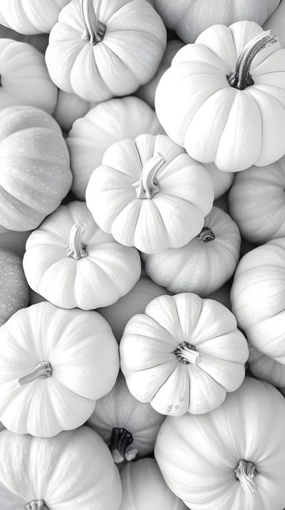 black and white photograph of pumpkins stacked on top of each other White Halloween Fall White, Black And White Fall, Instagram Background, Dream Cottage, light gray