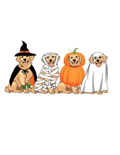 three dogs dressed up in halloween costumes sitting next to each other with pumpkins on their heads Golden Retriever Halloween Golden Retriever Halloween, Animals Dressed Up For Halloween, Cute Dog Halloween, white