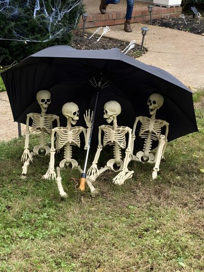 three skeletons sitting under an umbrella in the grass Halloween Funny Trio Skeleton Meme, Skeleton Friends Images, Skeletons Funny, Trio Skeleton, dim gray