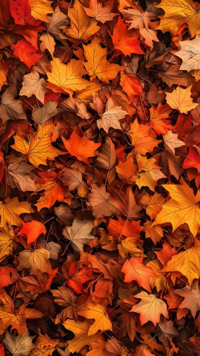 many different colored leaves on the ground Halloween Iphone Aesthetic Orange Fall Leaf Background, Fall Leaves Background Aesthetic, Fall Leaves Nature Background, saddle brown