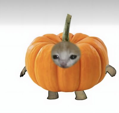an animal that is inside of a pumpkin Funny Halloween Pumpkin Autumn Reaction Meme, Autumn Reaction Pics, Cat With Fruit On Head, gainsboro