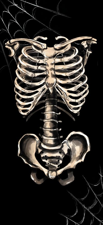 a skeleton is sitting in the middle of a web Halloween X-ray - Tan & Black Ipad Skeleton, Skeleton With Webs, Skeleton Ipad, Iphone Skeleton,