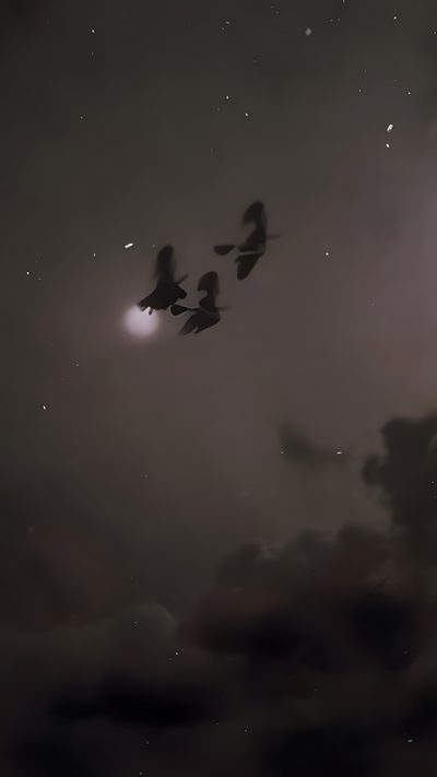 three birds flying in the night sky with stars and clouds behind them on a cloudy day Lock Screen Edgy Aesthetic Halloween Vintage Witch Aesthetic, Iphone Dark Witch, Moonlight Walk, dark slate gray