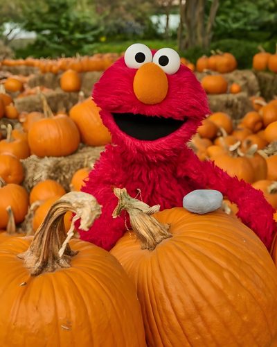 the sesame character is sitting on top of pumpkins Elmo Halloween Elmo Fire Meme Pumpkin Carving, Sesame Street Autumn, Elmo Halloween Background, chocolate