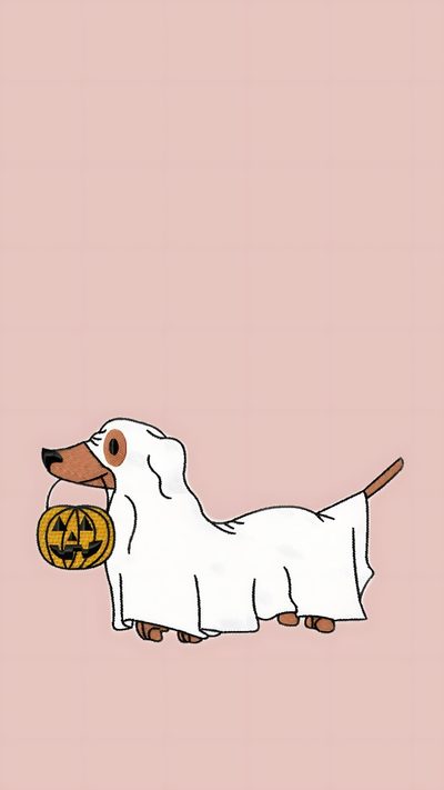 a white dog with a pumpkin in its mouth on a pink background that says happy halloween Dog Halloween Aesthetic Badge Buddy, Fall Dachshund Background, Weenie Dogs, Paws And Claws, light pink