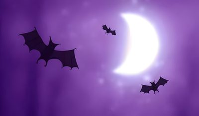 three bats flying in front of the moon Halloween Bat Moon Purple Large Halloween, Halloween Purple Moon Scene, Halloween Background With Bats And Full Moon, slate blue