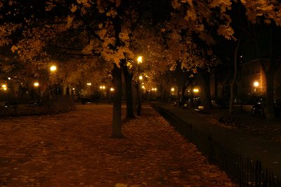 the trees are lit up at night with their leaves on the ground and lights in the background Halloween Mood Autumn Park At Night, Autumn Photography Inspiration, Cozy Autumn Walk, black