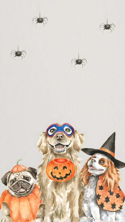 three dogs wearing halloween costumes with spider webs in the sky behind them, and one dog dressed up as a jack - o - lantern Dog Halloween Iphone Halloween Background With Dog, Halloween Dachshund, Halloween Dog Background, gainsboro