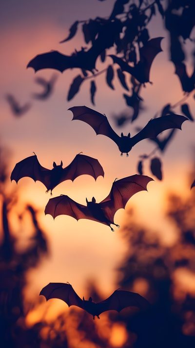 bats flying in the air at sunset Halloween Bat Iphone Leinwand Malerei Ideen, Witchy, Autumn Magic, Halloween Iphone, Dessins Sympas, sienna