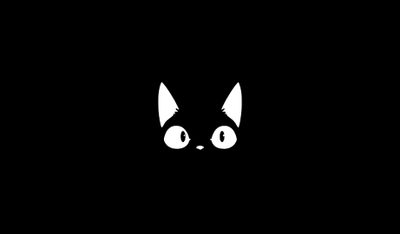 a black and white cat with big eyes on it's face in the dark Halloween Cat Gif Animes, Cute Cat, Desktop Black, Moving, Free Overlays, Cat Face Drawing,
