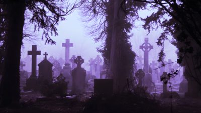 a cemetery with tombstones and trees in the fog Purple Halloween Laptop Goth Laptop, Evil Girl, Purple Goth, Evil World, Goth, dark slate gray