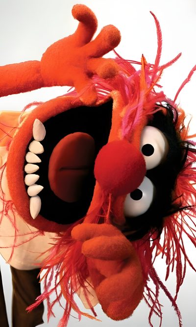 an orange stuffed animal with big eyes and pink feathers on it's head, standing in front of a white background Muppets Halloween Animal Muppet, Miss Piggy, The Muppet Show, Go, Jim Henson, Foto Divertenti, chocolate