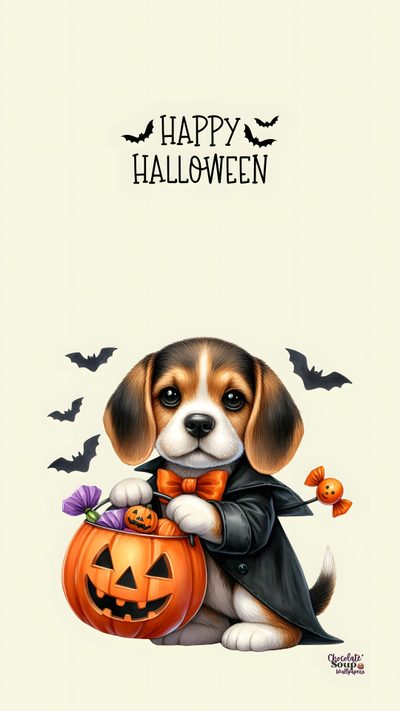 a dog is holding a pumpkin and wearing a black coat with bats around it, while sitting Cute Beagle Halloween Cute Halloween Puppy, Cute Dog Halloween, Halloween Dog, Charlie Brown And Snoopy, beige