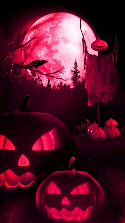 two carved pumpkins in front of a full moon Red Halloween Aesthetic Halloween Moving, Moving Halloween, Halloween Video, Live Halloween Iphone, black